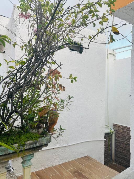 Alojamiento En La Calle 56 Πλάγια Ντελ Κάρμεν Εξωτερικό φωτογραφία